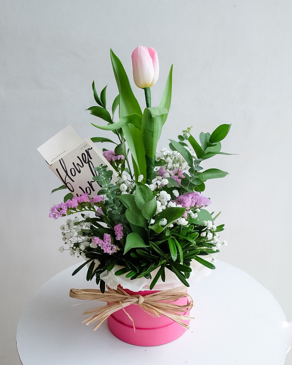 Tulips - Image 5